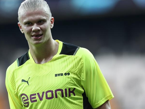 这种朴素反 这种朴素反