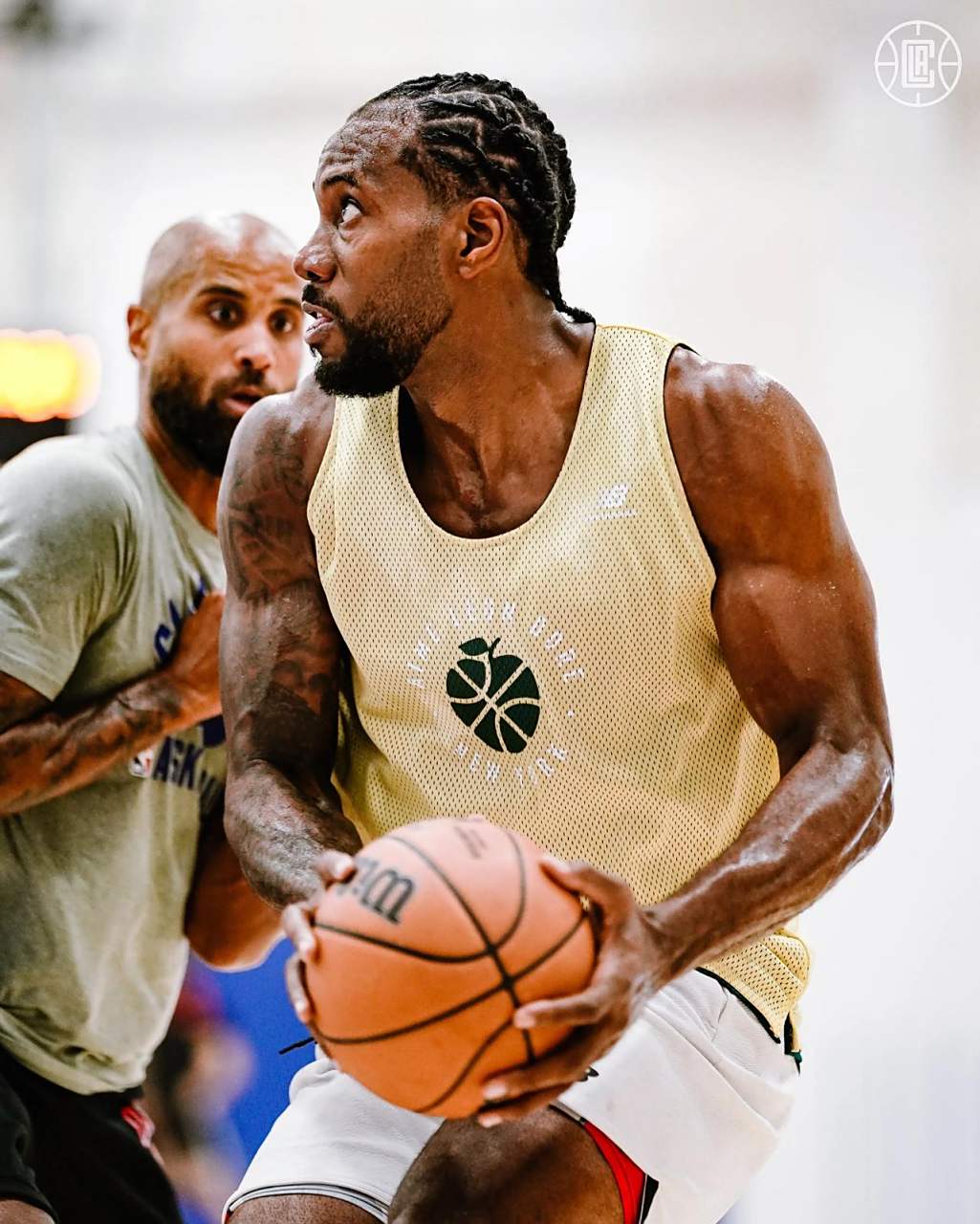 的传闻再起 的传闻再起