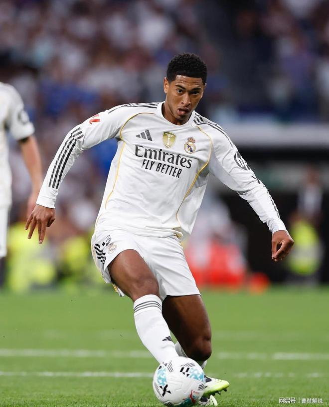 内线护筐轮 内线护筐轮